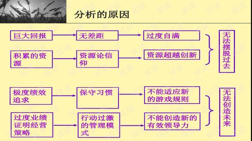 产品组合分析 企业战略规划难题分析及解决模式 bcg波士顿咨询公司